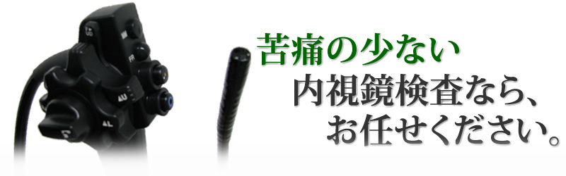 名古屋市 中村内科クリニック 胃カメラ